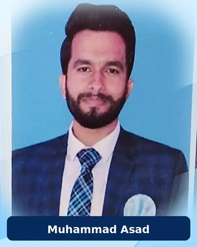 Muhammad Asad, Maths and Statistics home tutor in Lahore